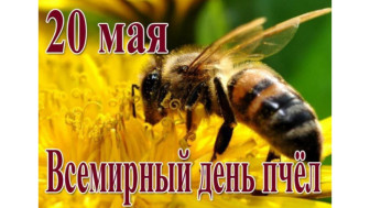 Всемирный день пчел.