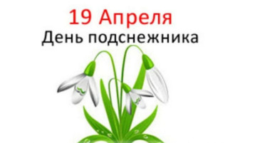 День подснежника День подснежника.
