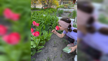 Эколята – юные защитники природы Эколята – юные защитники природы.
